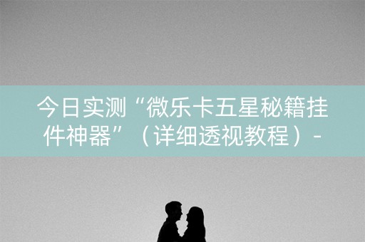 今日实测“微乐卡五星秘籍挂件神器”（详细透视教程）-哔哩哔哩