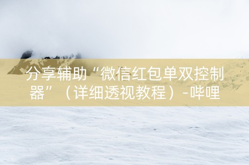 分享辅助“微信红包单双控制器”（详细透视教程）-哔哩哔哩