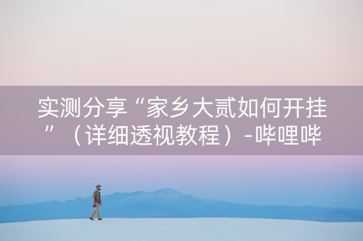 实测分享“家乡大贰如何开挂”（详细透视教程）-哔哩哔哩