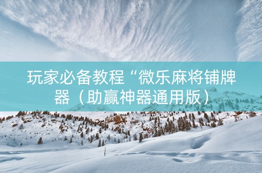 玩家必备教程“微乐麻将铺牌器（助赢神器通用版）