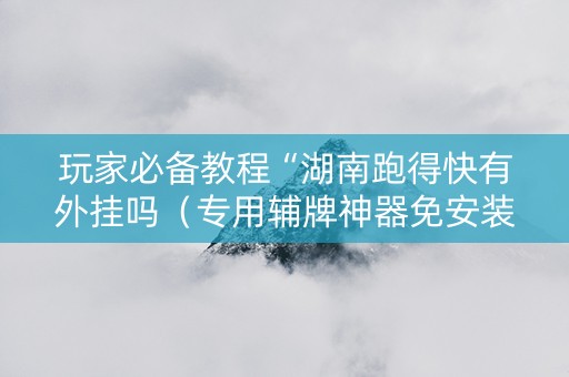玩家必备教程“湖南跑得快有外挂吗（专用辅牌神器免安装）