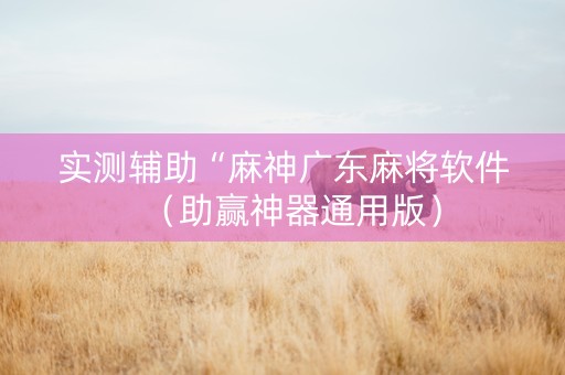 实测辅助“麻神广东麻将软件（助赢神器通用版）