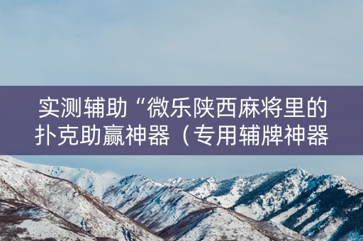 实测辅助“微乐陕西麻将里的扑克助赢神器（专用辅牌神器免安装）