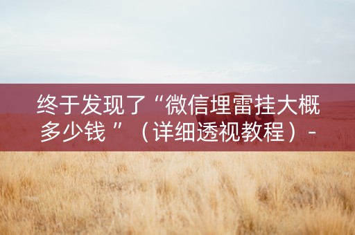 终于发现了“微信埋雷挂大概多少钱 ”（详细透视教程）-哔哩哔哩