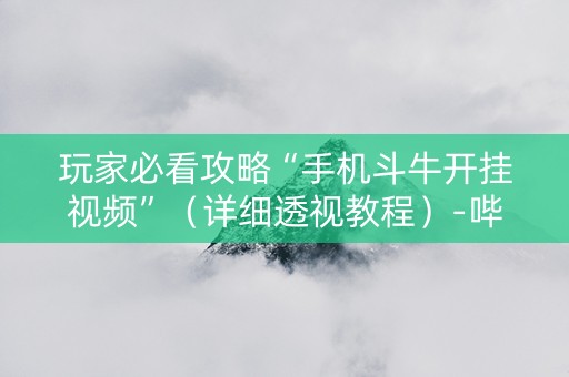 玩家必看攻略“手机斗牛开挂视频”（详细透视教程）-哔哩哔哩