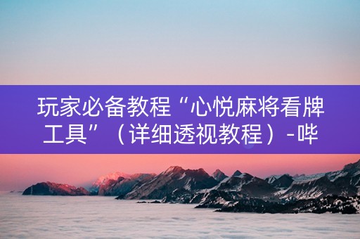 玩家必备教程“心悦麻将看牌工具”（详细透视教程）-哔哩哔哩