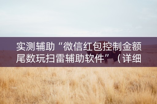 实测辅助“微信红包控制金额尾数玩扫雷辅助软件”（详细透视教程）-哔哩哔哩