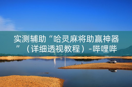 实测辅助“哈灵麻将助赢神器”（详细透视教程）-哔哩哔哩