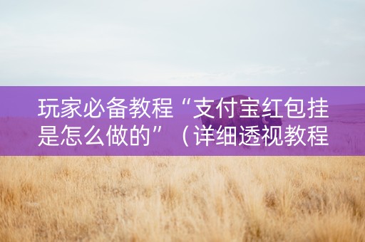 玩家必备教程“支付宝红包挂是怎么做的”（详细透视教程）-哔哩哔哩