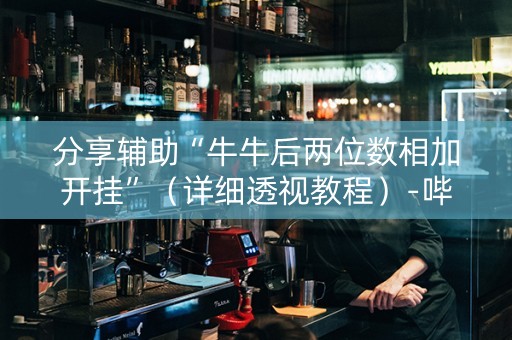 分享辅助“牛牛后两位数相加开挂”（详细透视教程）-哔哩哔哩