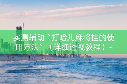 实测辅助“打哈儿麻将挂的使用方法”（详细透视教程）-哔哩哔哩