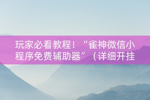 玩家必看教程！“雀神微信小程序免费辅助器”（详细开挂教程）-哔哩哔哩