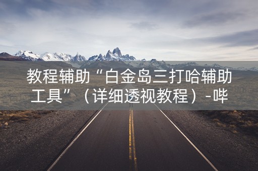 教程辅助“白金岛三打哈辅助工具”（详细透视教程）-哔哩哔哩