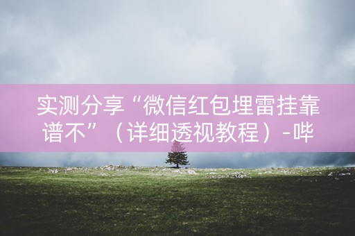 实测分享“微信红包埋雷挂靠谱不”（详细透视教程）-哔哩哔哩
