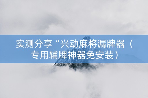 实测分享“兴动麻将漏牌器（专用辅牌神器免安装）