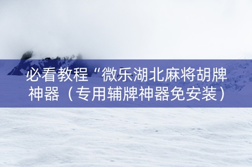 必看教程“微乐湖北麻将胡牌神器（专用辅牌神器免安装）