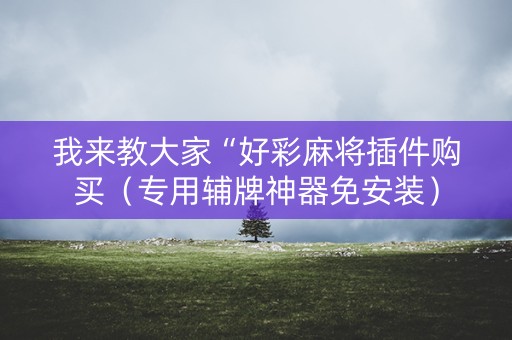 我来教大家“好彩麻将插件购买（专用辅牌神器免安装）