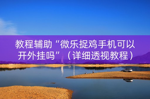 教程辅助“微乐捉鸡手机可以开外挂吗”（详细透视教程）-哔哩哔哩