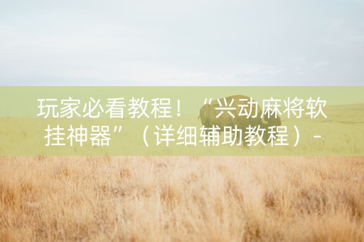 玩家必看教程！“兴动麻将软挂神器”（详细辅助教程）-哔哩哔哩