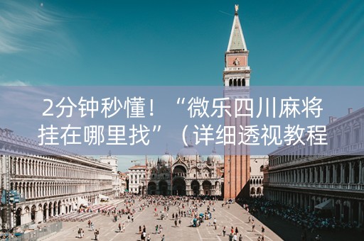 2分钟秒懂！“微乐四川麻将挂在哪里找”（详细透视教程）-哔哩哔哩