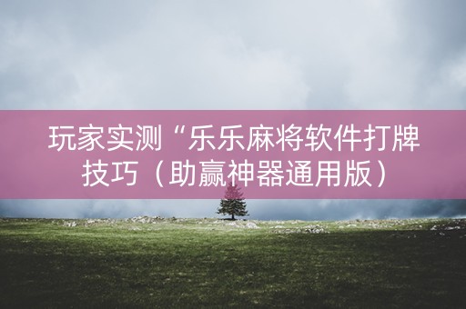 玩家实测“乐乐麻将软件打牌技巧（助赢神器通用版）