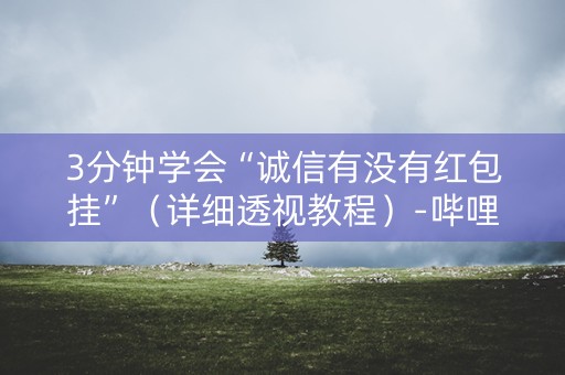 3分钟学会“诚信有没有红包挂”（详细透视教程）-哔哩哔哩