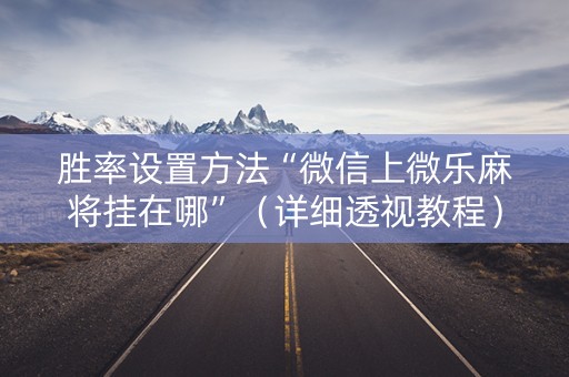 胜率设置方法“微信上微乐麻将挂在哪”（详细透视教程）-哔哩哔哩