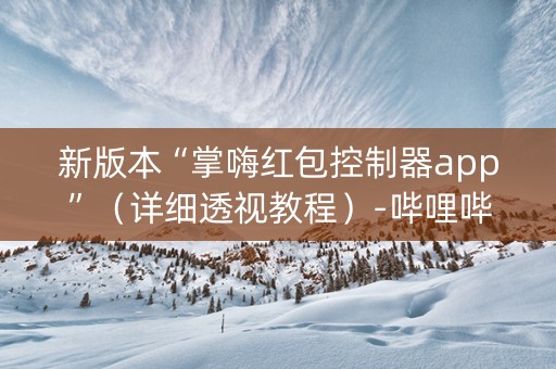 新版本“掌嗨红包控制器app”（详细透视教程）-哔哩哔哩