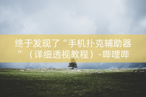 终于发现了“手机扑克辅助器”（详细透视教程）-哔哩哔哩