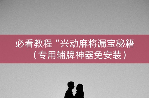 必看教程“兴动麻将漏宝秘籍（专用辅牌神器免安装）