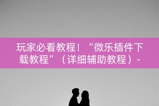 玩家必看教程！“微乐插件下载教程”（详细辅助教程）-哔哩哔哩