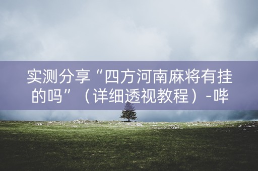实测分享“四方河南麻将有挂的吗”（详细透视教程）-哔哩哔哩