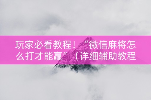 玩家必看教程！“微信麻将怎么打才能赢”（详细辅助教程）-哔哩哔哩