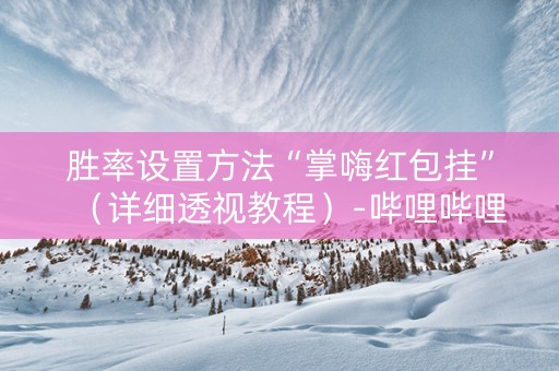 胜率设置方法“掌嗨红包挂”（详细透视教程）-哔哩哔哩