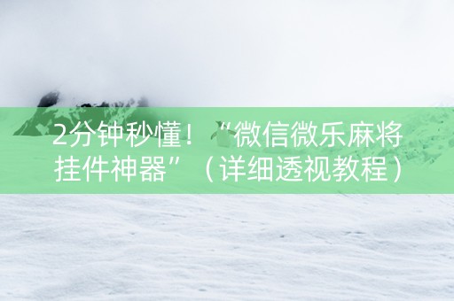 2分钟秒懂！“微信微乐麻将挂件神器”（详细透视教程）-哔哩哔哩