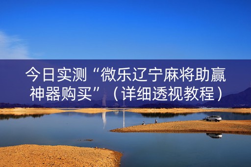 今日实测“微乐辽宁麻将助赢神器购买”（详细透视教程）-哔哩哔哩