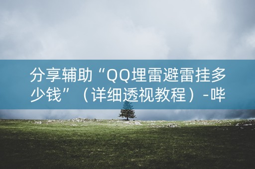 分享辅助“QQ埋雷避雷挂多少钱”（详细透视教程）-哔哩哔哩