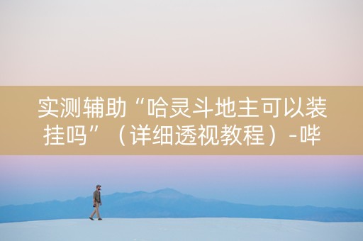 实测辅助“哈灵斗地主可以装挂吗”（详细透视教程）-哔哩哔哩