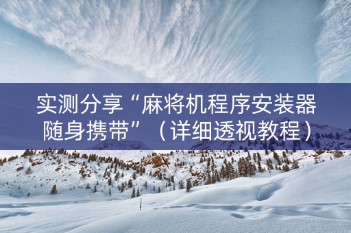 实测分享“麻将机程序安装器随身携带”（详细透视教程）-哔哩哔哩