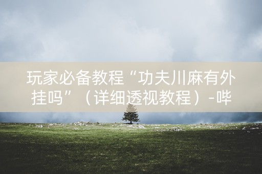 玩家必备教程“功夫川麻有外挂吗”（详细透视教程）-哔哩哔哩