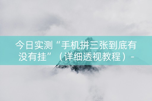 今日实测“手机拼三张到底有没有挂”（详细透视教程）-哔哩哔哩