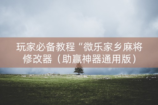 玩家必备教程“微乐家乡麻将修改器（助赢神器通用版）