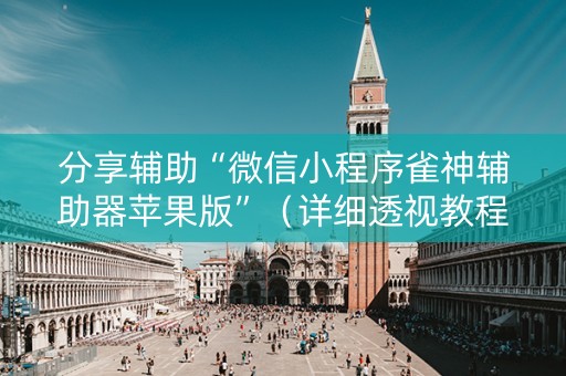 分享辅助“微信小程序雀神辅助器苹果版”（详细透视教程）-哔哩哔哩