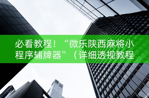 必看教程！“微乐陕西麻将小程序辅牌器”（详细透视教程）-哔哩哔哩