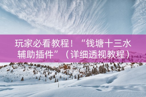 玩家必看教程！“钱塘十三水辅助插件”（详细透视教程）-哔哩哔哩
