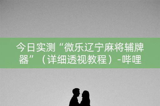 今日实测“微乐辽宁麻将辅牌器”（详细透视教程）-哔哩哔哩