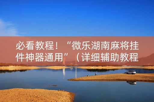 必看教程！“微乐湖南麻将挂件神器通用”（详细辅助教程）-哔哩哔哩