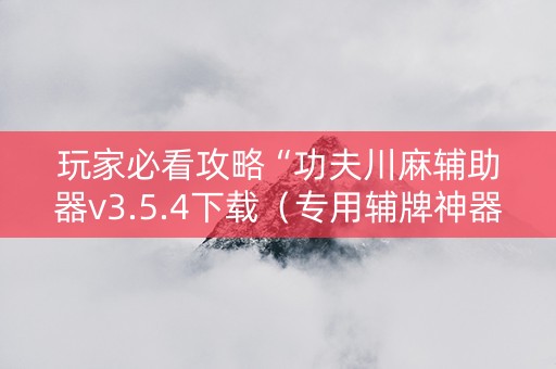 玩家必看攻略“功夫川麻辅助器v3.5.4下载（专用辅牌神器免安装）