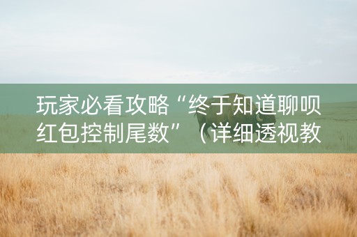 玩家必看攻略“终于知道聊呗红包控制尾数”（详细透视教程）-哔哩哔哩