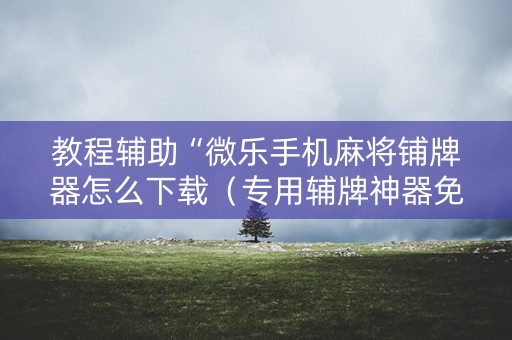 教程辅助“微乐手机麻将铺牌器怎么下载（专用辅牌神器免安装）